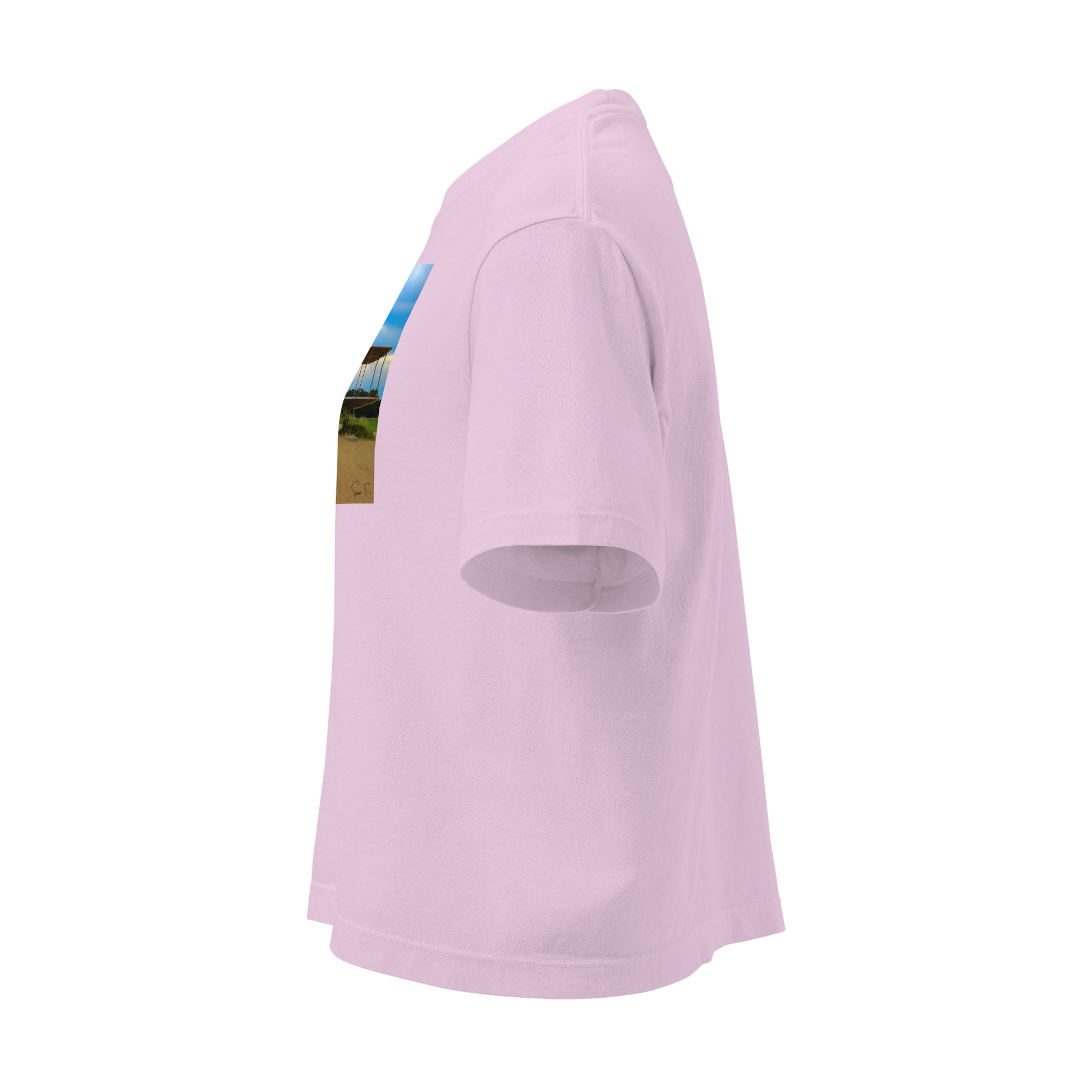 Dame Kitty Hawk Heavy Box T-shirt