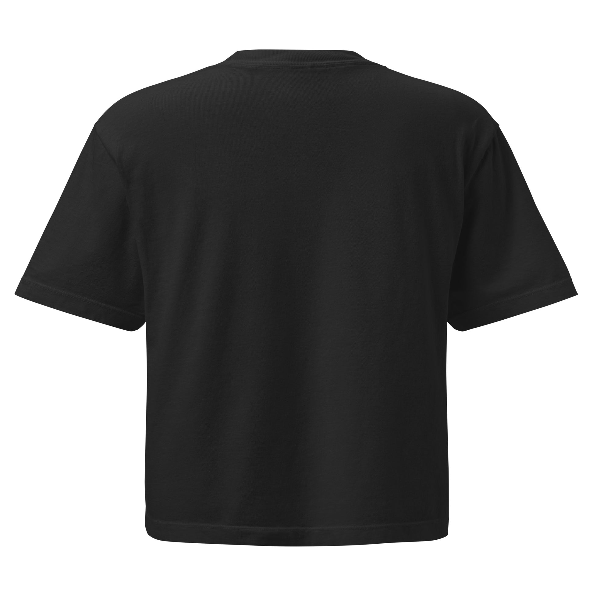 Dame Kitty Hawk Heavy Box T-shirt